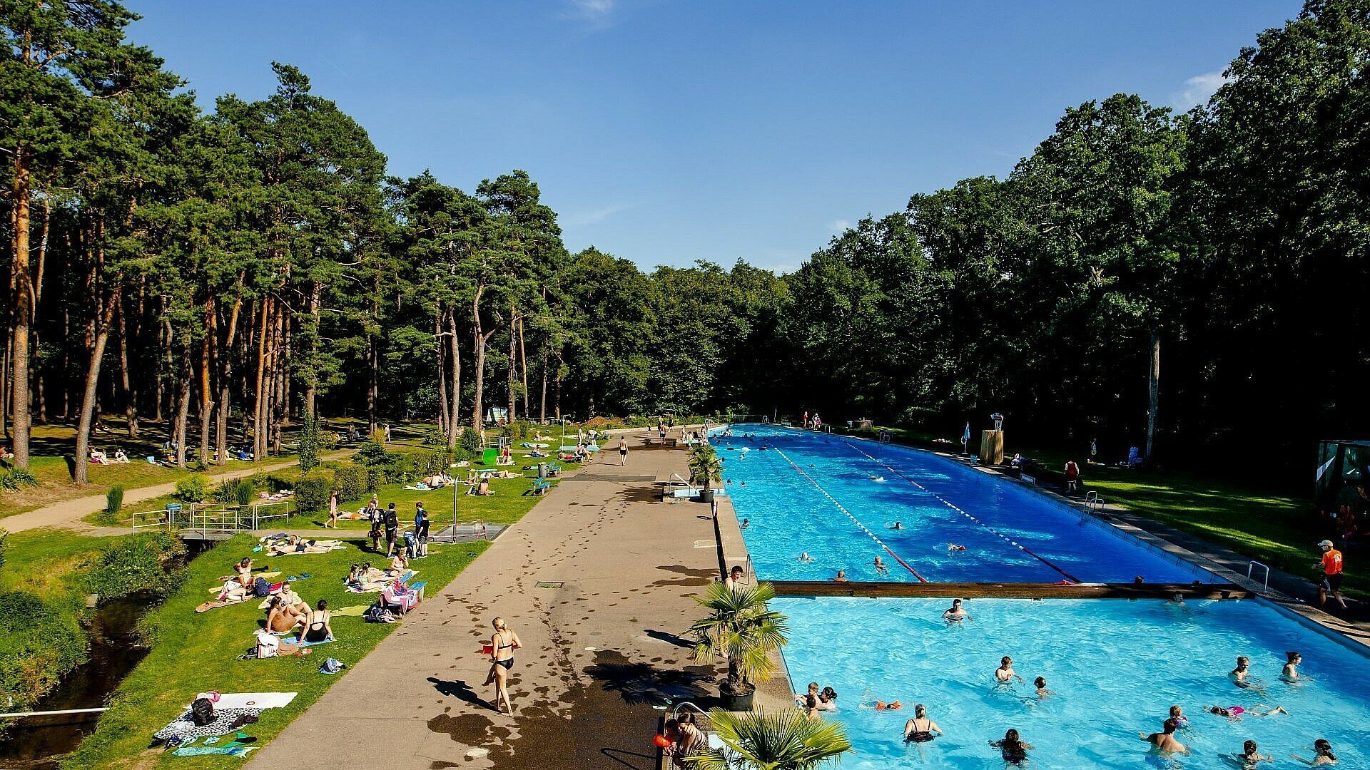 Das neue Schwimmbecken im Waldbad Dünnwald