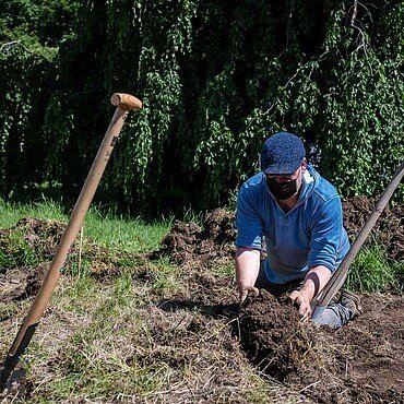 Lars Vissering befreit den Gemeinschaftsgarten in Urbach mit Hand und Schaufel vom Gras