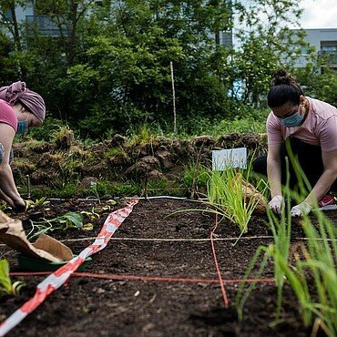 Zwei Mieterinnen arbeiten im Gemüsebeet in Porz-Urbach