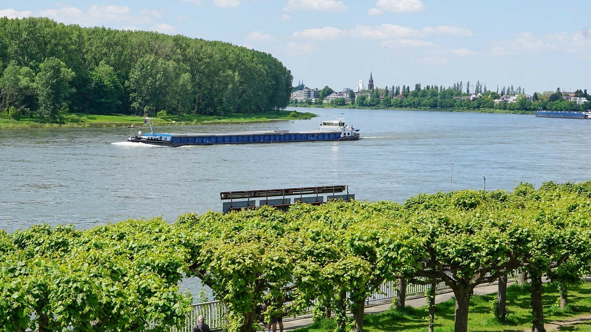 Sommerliches Rheinufer in Köln-Porz