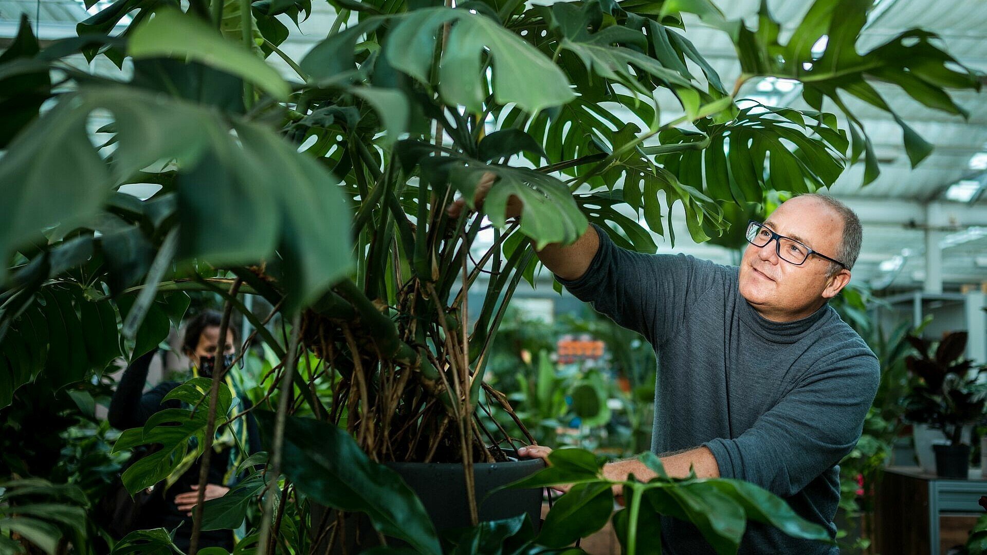 Christian Dinger mit der Trendpflanze Monstera im „Dinger's Gartencenter“ in Vogelsang